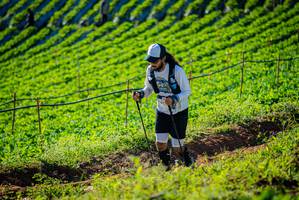 BIB: 
                            <button type="button" onclick="openModal(19160376)" class="btn btn-primary btn-sm float-right btn-popup" data-toggle="modal" data-target=".modal-high-quality">
                        <i class="fas fa-shopping-cart"></i> Add to Cart
                    </button>
                                            <button type="button" onclick="isThisMe(19160376, true)" class="btn btn-success btn-sm float-right btn-popup btn-isme hidden" data-toggle="tooltip" data-placement="bottom" title="นี่คือรูปของคุณใช่ไหม คลิกที่นี่เพื่อเอาเข้าอัลบั้ม">
                        <i class="fas fa-plus"></i> Add to album
                    </button>
                    <button type="button" onclick="isThisMe(19160376, false)" class="btn btn-warning btn-sm float-right btn-popup btn-isnotme hidden">
                        <i class="fas fa-ban"></i> Remove from album
                    </button>